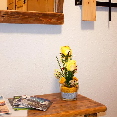 In Schwarzwald Apartamento Schönwalde