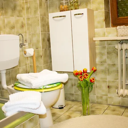 In Schwarzwald Appartement Schönwalde
