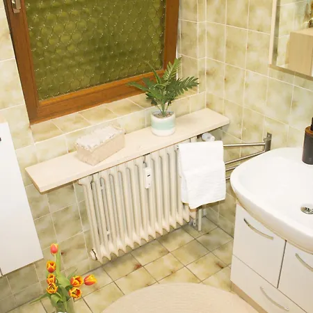 Apartamento In Schwarzwald *