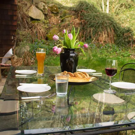 In Schwarzwald Appartement *