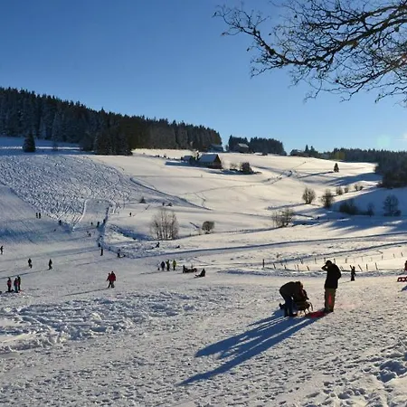 Apartamento In Schwarzwald